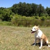Maggie N.